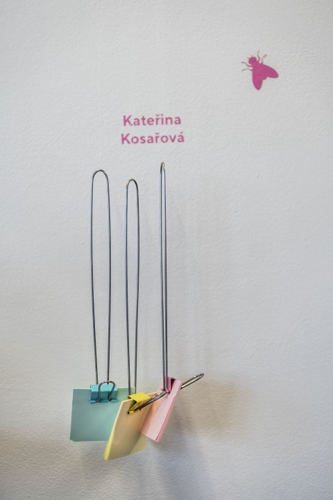 Snímek 147