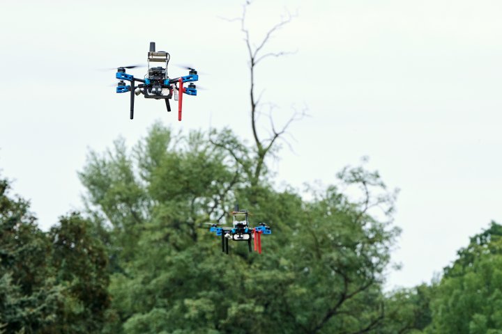 Snímek 7