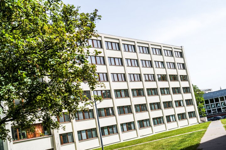 Snímek 5