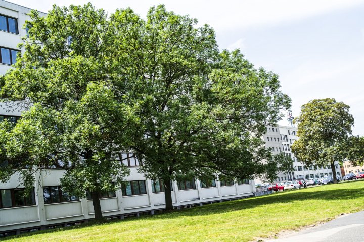 Snímek 11