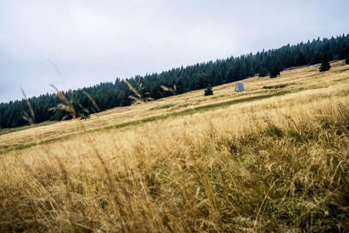 Snímek 37