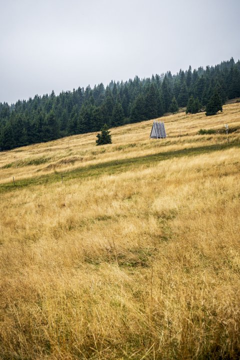 Snímek 38