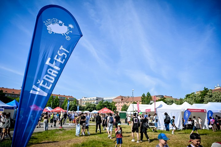 Snímek 6