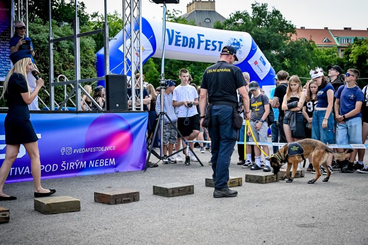 Snímek 233
