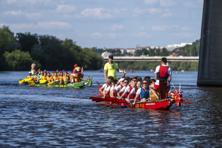 Snímek 262