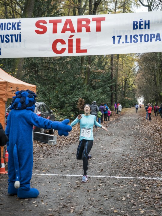 Snímek 12