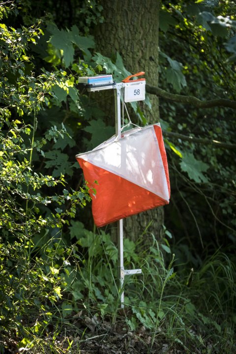 Snímek 17