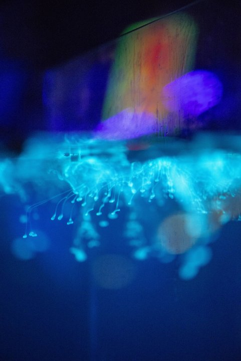 Photo 46