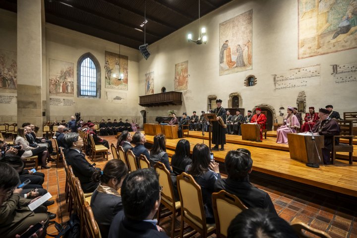 Photo 31